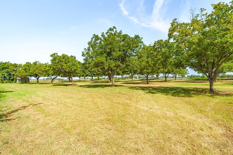 11217 Foutch Road, Pilot Point TX 76258 - Photo 30