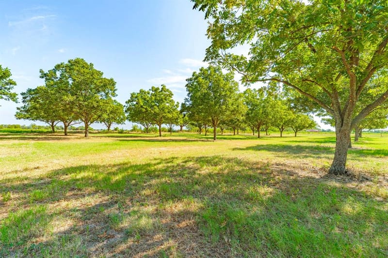 11217 Foutch Road, Pilot Point TX 76258 - Photo 31