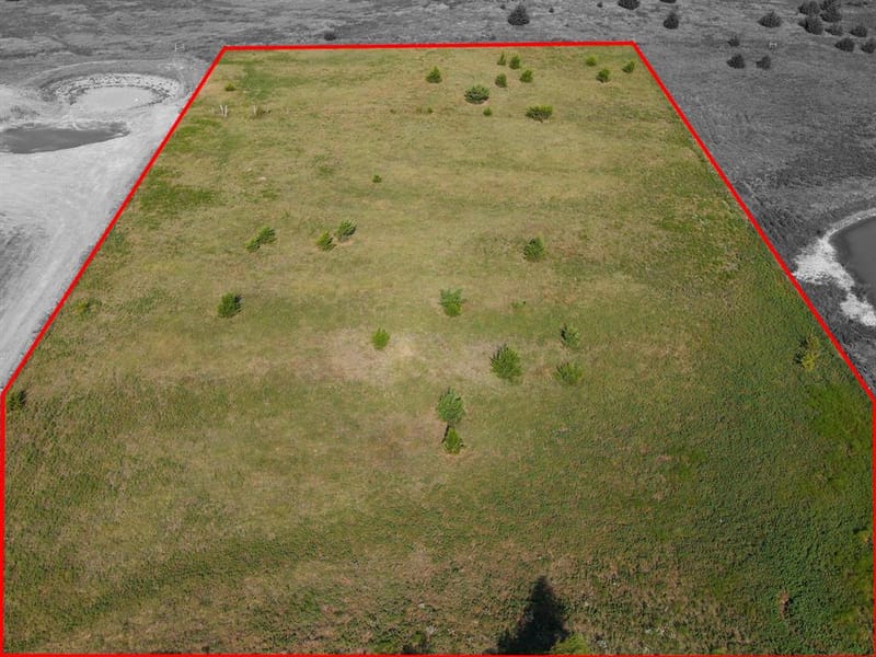 5634 County Road 1094, Celeste TX 75423 - Photo 11