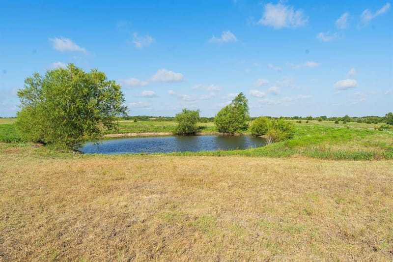 5634 County Road 1094, Celeste TX 75423 - Photo 25