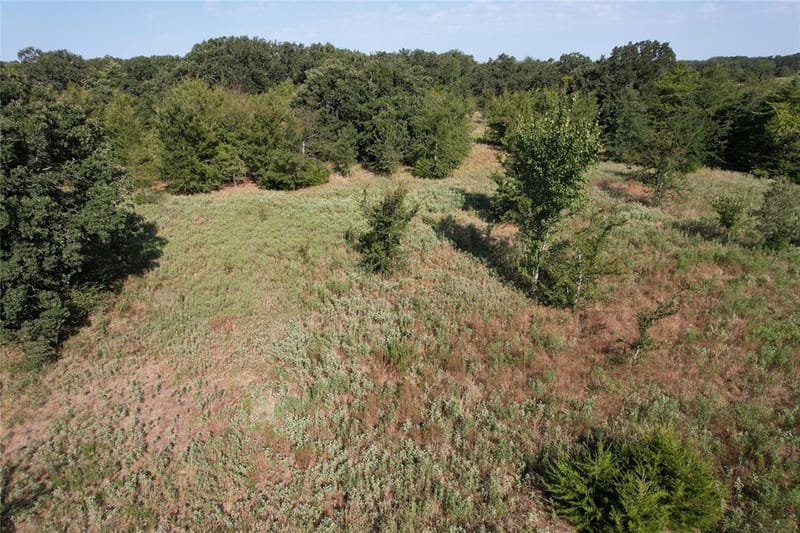 1799 County Road 4128, Cumby TX 75433 - Photo 37