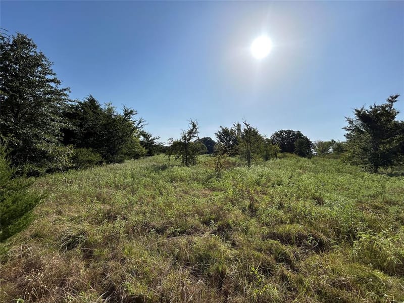 1799 County Road 4128, Cumby TX 75433 - Photo 29
