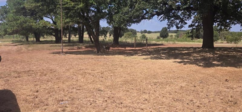 770 County Road 169, Whitesboro TX 76273 - Photo 18