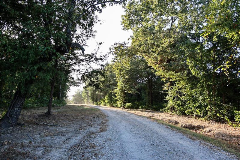 5541 Fm 1652, Grand Saline TX 75140 - Photo 36