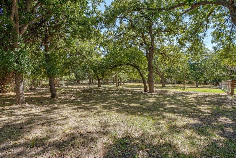 1377 E Gibtown Road, Poolville TX 76487 - Photo 34