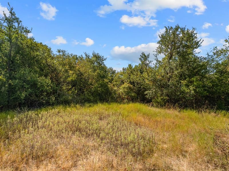 1037 Private Road 4481, Decatur TX 76234 - Photo 36