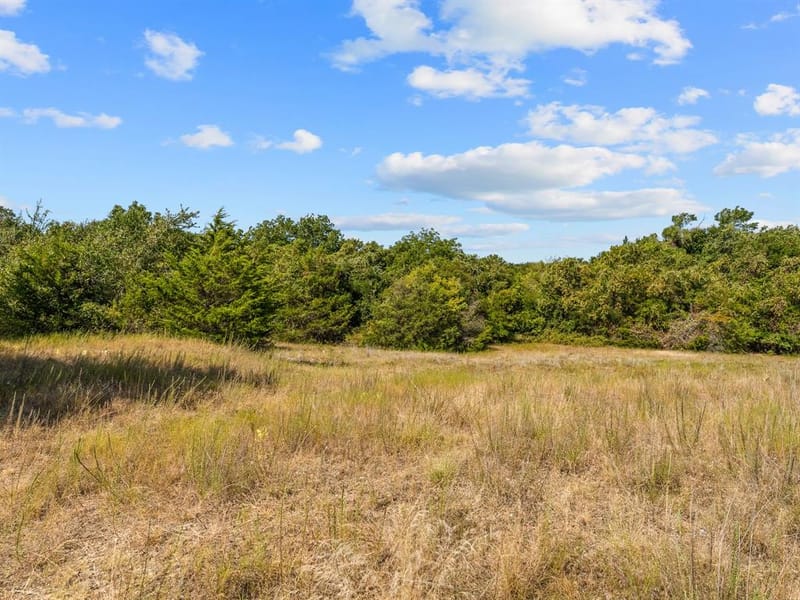 1037 Private Road 4481, Decatur TX 76234 - Photo 30