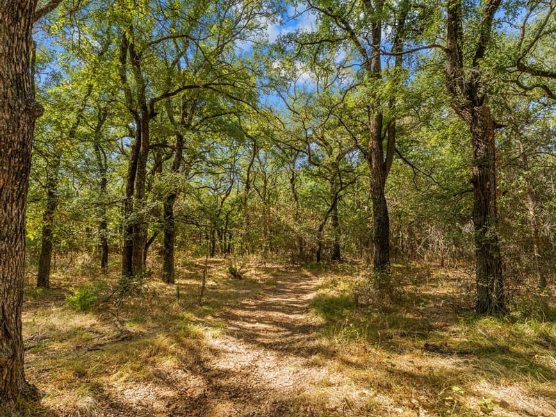 1037 Private Road 4481, Decatur TX 76234 - Photo 33