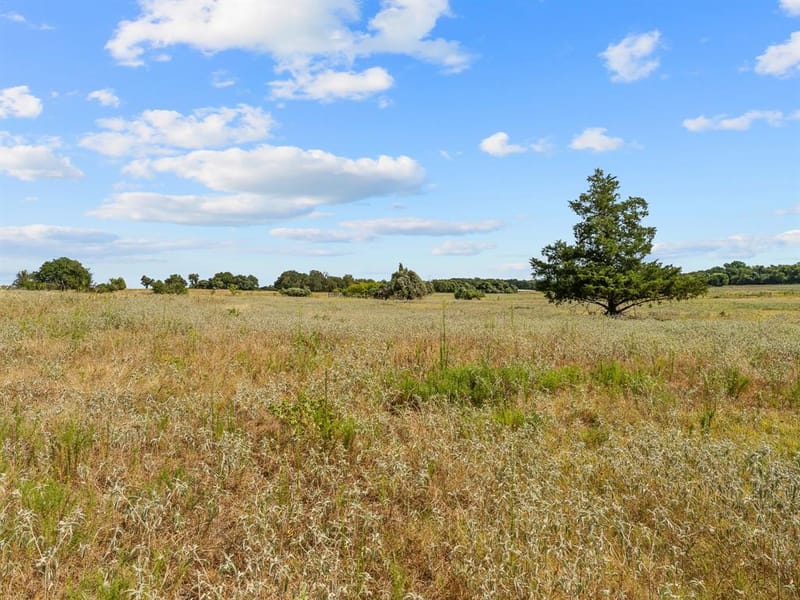1037 Private Road 4481, Decatur TX 76234 - Photo 40