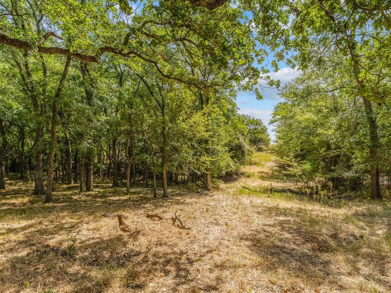 1037 Private Road 4481, Decatur TX 76234 - Photo 29