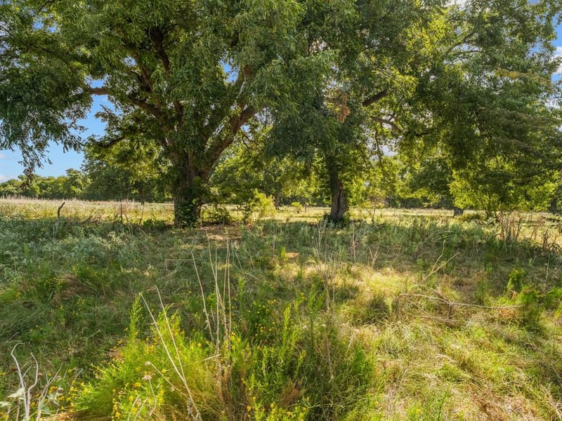 1037 Private Road 4481, Decatur TX 76234 - Photo 25