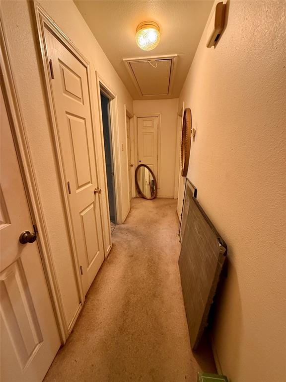 1313 S Rockwall Avenue, Terrell TX 75160 - Photo 9