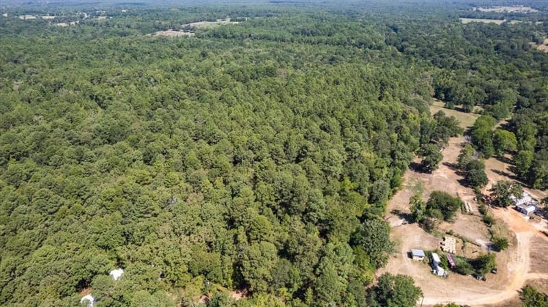 431 County Road 2487, Mineola TX 75773 - Photo 40