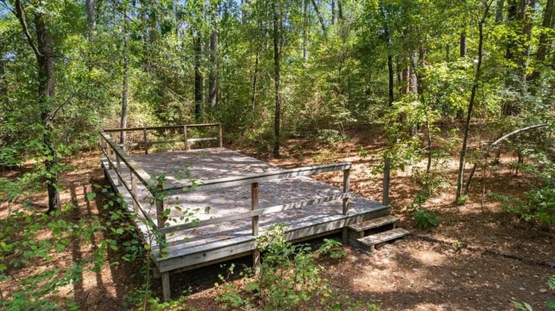 431 County Road 2487, Mineola TX 75773 - Photo 39