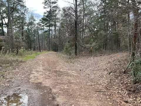 250 Private Road 8579, Winnsboro TX 75494 - Photo 32
