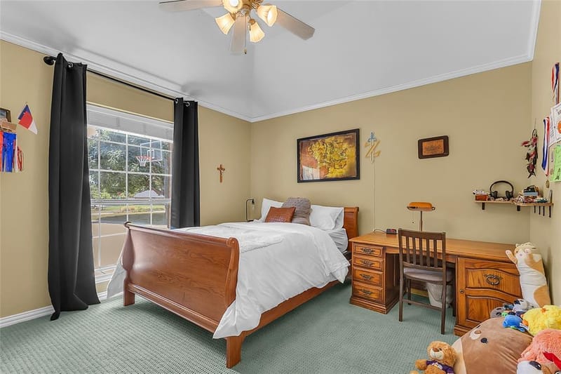 101 Indian Paint Drive, Justin TX 76247 - Photo 25