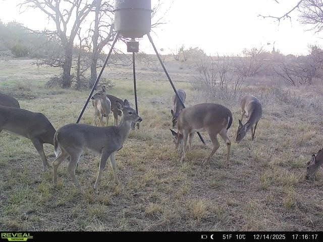 9486 Coppic Ranch Road, Brownwood TX 76801 - Photo 40