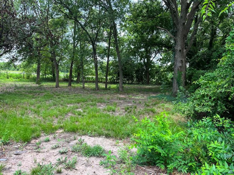 5457 Fm 2874, Commerce TX 75428 - Photo 4