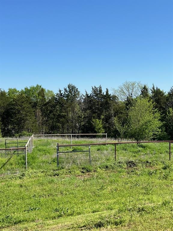 41 Kelsey Road, Denison TX 75021 - Photo 31