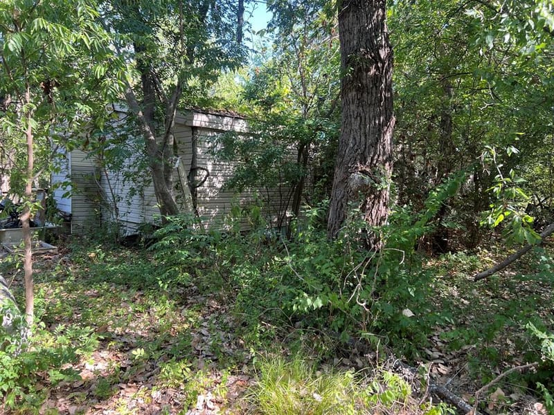 10163 Gaillard Lake, Wills Point TX 75169 - Photo 6