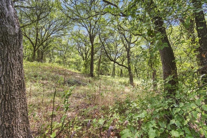 7210 Shiloh Road, Midlothian TX 76065 - Photo 35