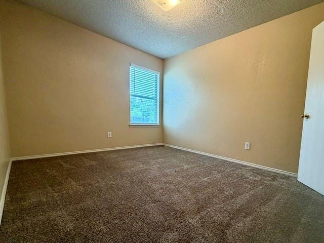 12333 Silver Mist Trail, Fort Worth TX 76028 - Photo 10