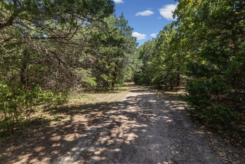 10401 Holly Creek Road, Terrell TX 75160 - Photo 36