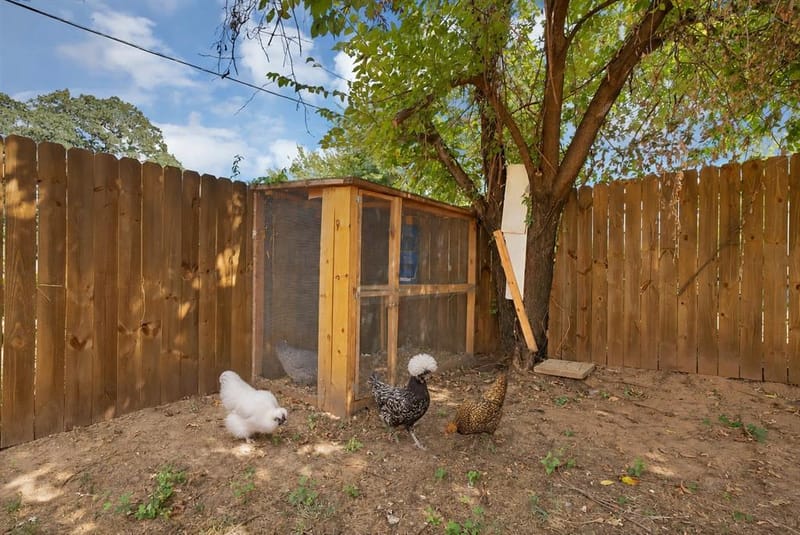 116 Westline Road, Azle TX 76020 - Photo 34