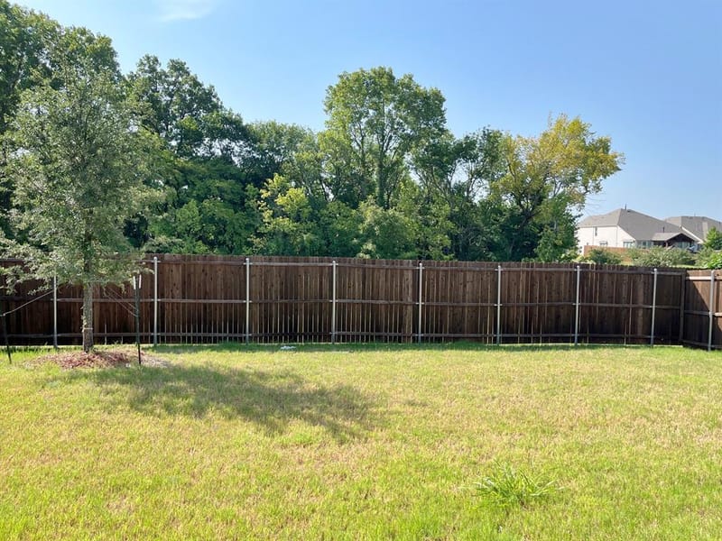 3513 Red Cardinal Court, McKinney TX 75071 - Photo 3