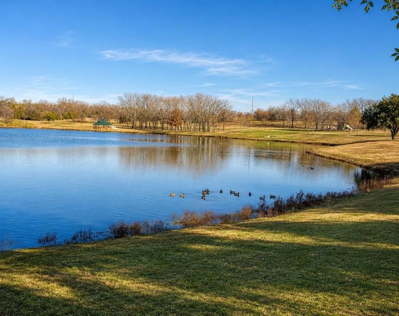 3205 Merita Drive, Richardson TX 75082 - Photo 40