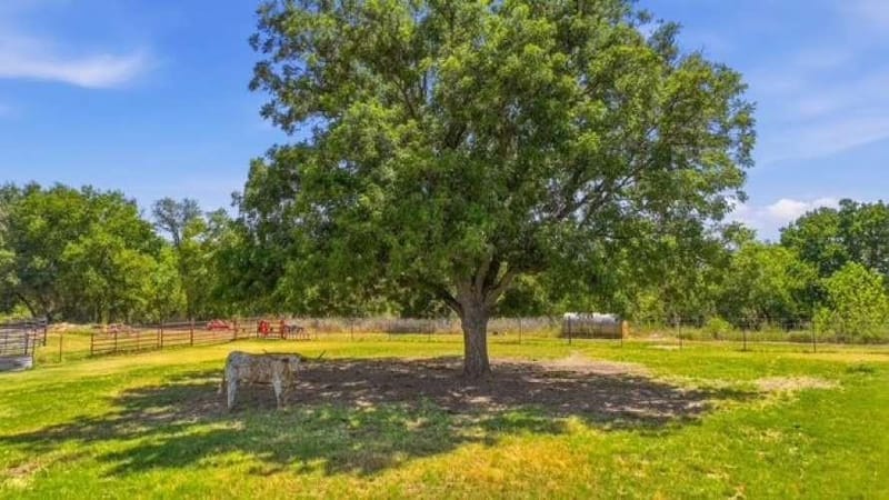 1014 Adell Road, Weatherford TX 76088 - Photo 36