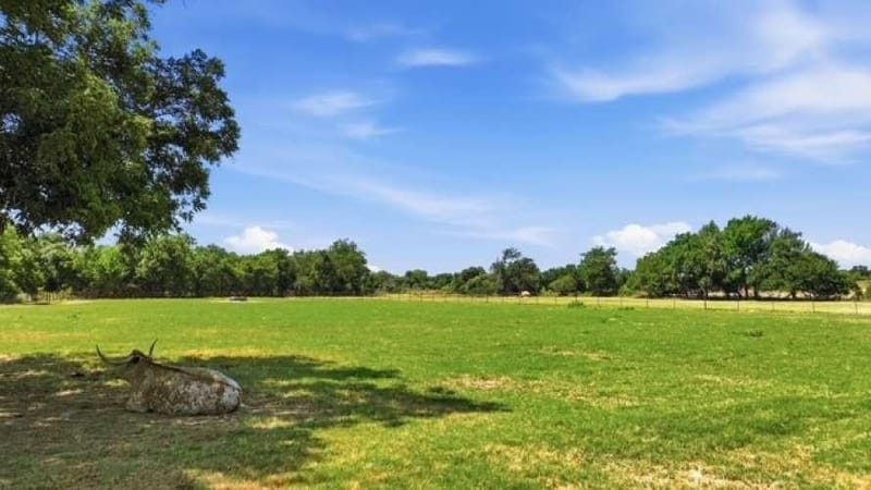 1014 Adell Road, Weatherford TX 76088 - Photo 39