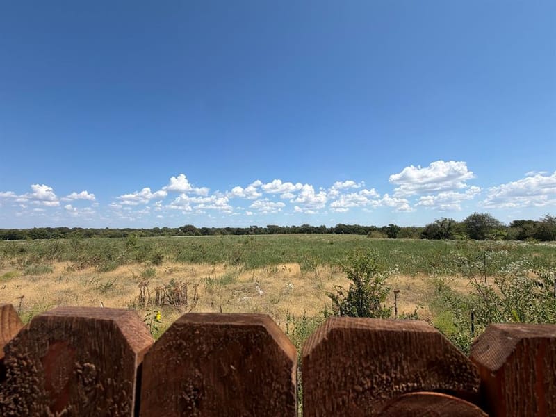 1223 Briar Street, Princeton TX 75407 - Photo 23