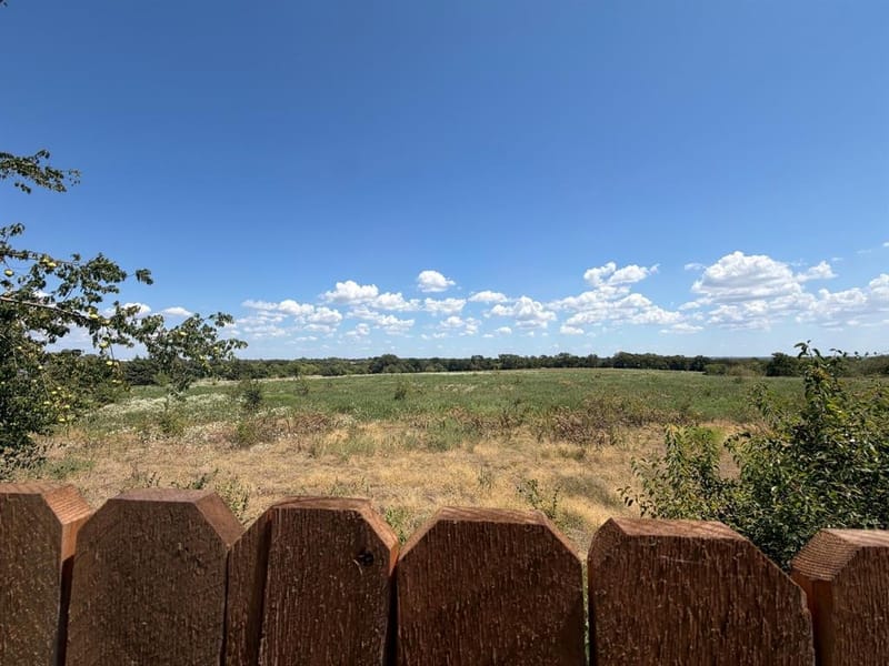 1207 Briar Street, Princeton TX 75407 - Photo 24