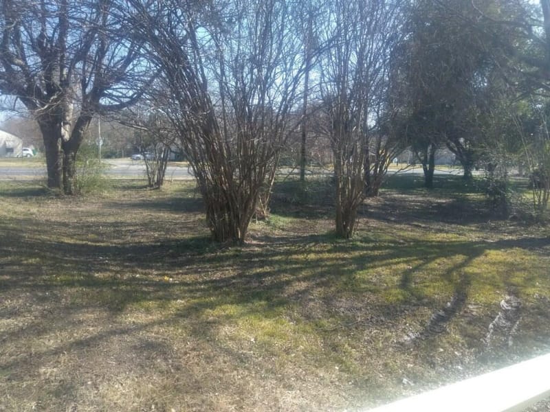 1211 Wolfe City Drive, Greenville TX 75401 - Photo 13