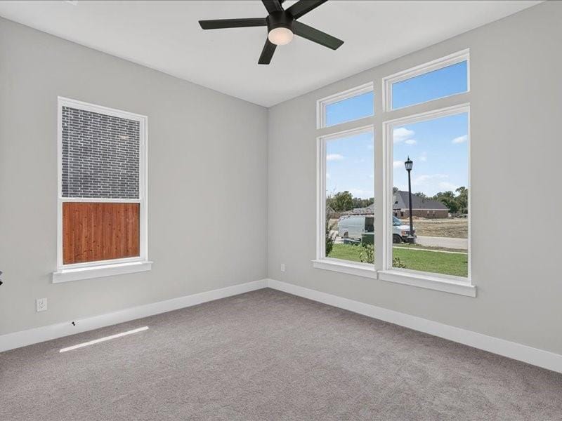 118 Emma Street, Red Oak TX 75154 - Photo 16