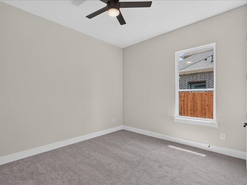 118 Emma Street, Red Oak TX 75154 - Photo 18