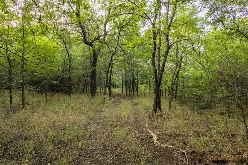 4251 Refuge Road, Sherman TX 75092 - Photo 25