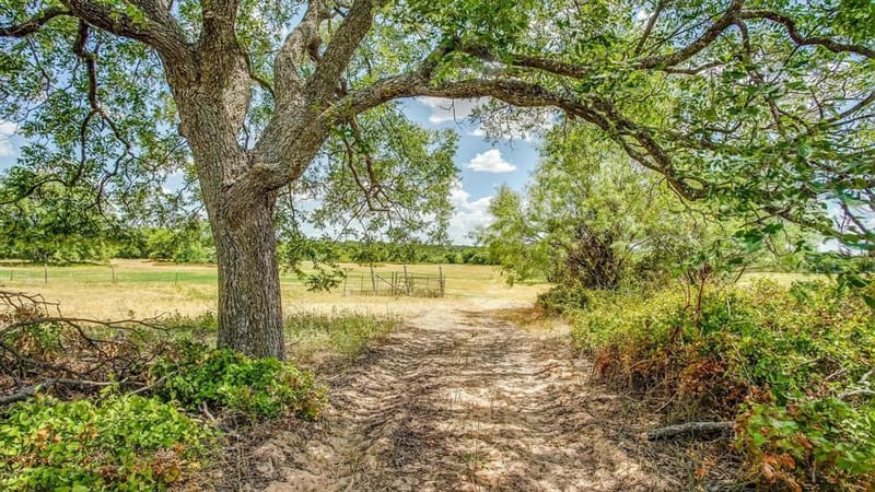 2446 Fm 205, Stephenville TX 76401 - Photo 16