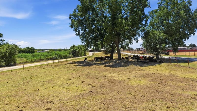 2446 Fm 205, Stephenville TX 76401 - Photo 20