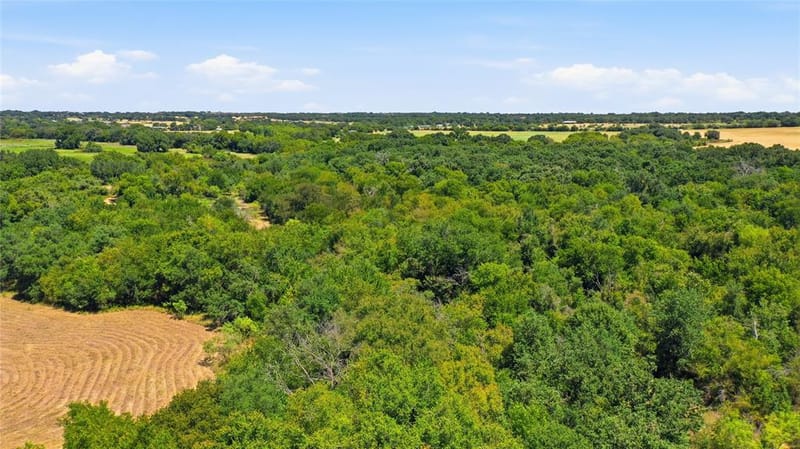 2446 Fm 205, Stephenville TX 76401 - Photo 30