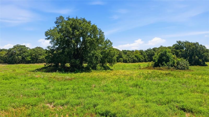 2446 Fm 205, Stephenville TX 76401 - Photo 31