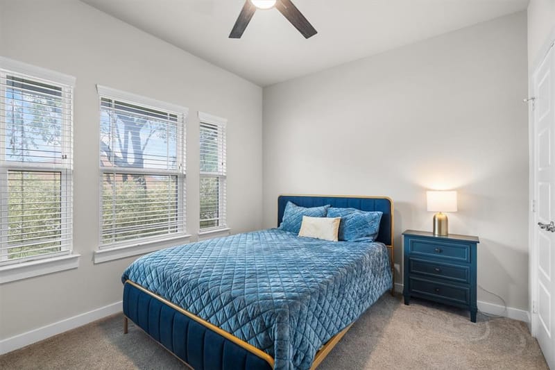 111 Rusk Street, Argyle TX 76226 - Photo 22