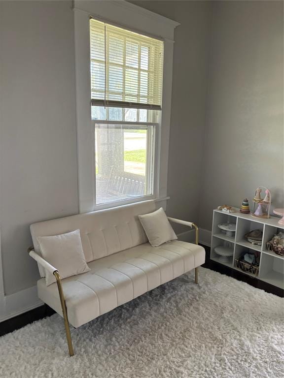 311 W Sam Rayburn Drive, Bonham TX 75418 - Photo 23