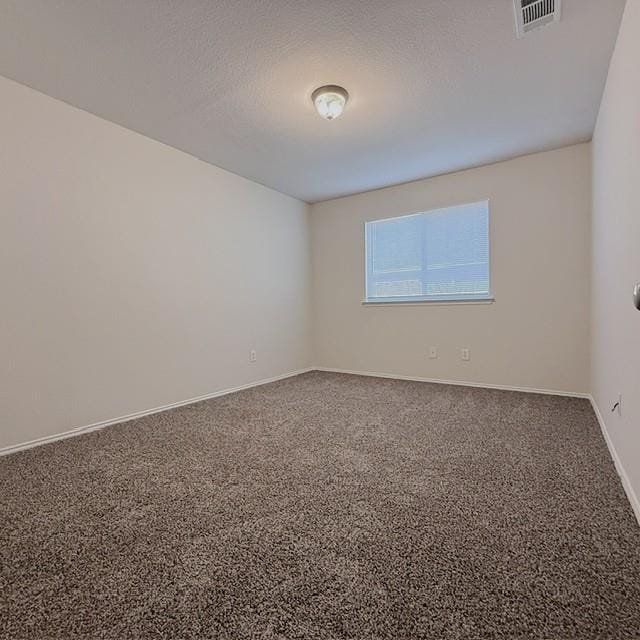 436 Emerald Creek Drive, Fort Worth TX 76131 - Photo 14