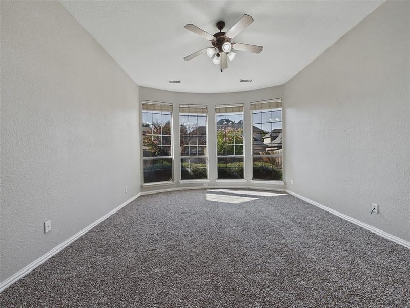 1315 Arbuckle Drive, Frisco TX 75033 - Photo 15