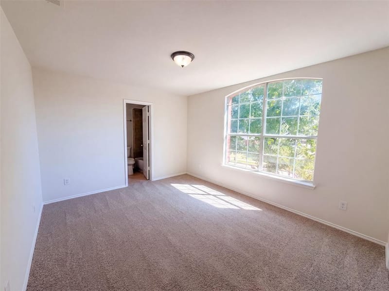 217 Green Acres Drive, Murphy TX 75094 - Photo 20