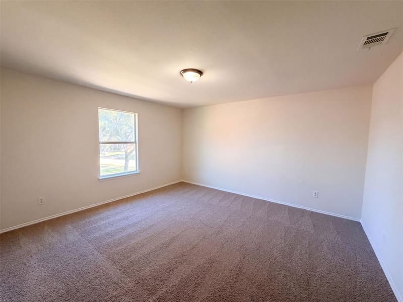 217 Green Acres Drive, Murphy TX 75094 - Photo 24