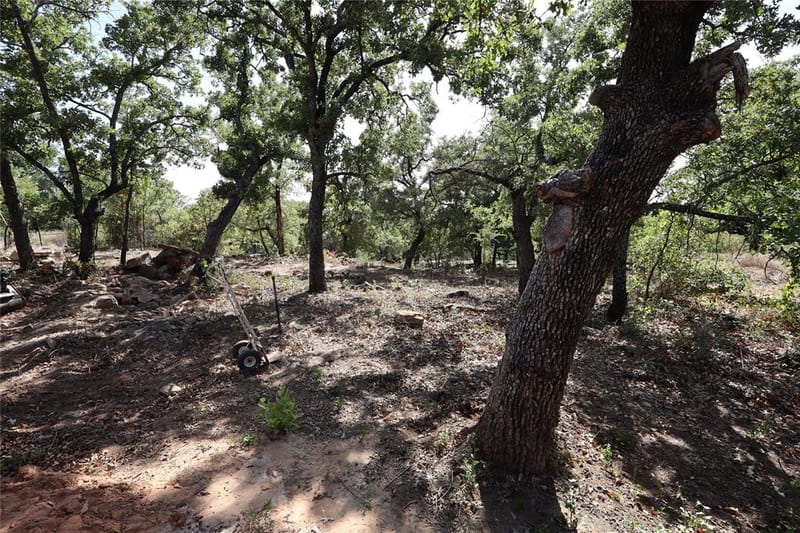 175 Lori Drive, Mineral Wells TX 76067 - Photo 30