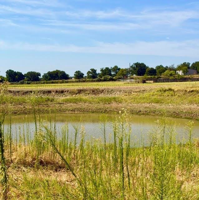 1108 County Road 4360, Decatur TX 76234 - Photo 20